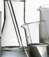 Suspendisse arcu nisl