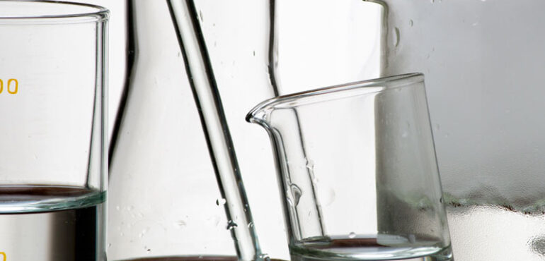 Suspendisse arcu nisl