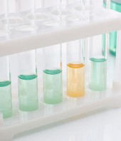 Etiam dictum egestas